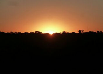 Sunset over rainforest